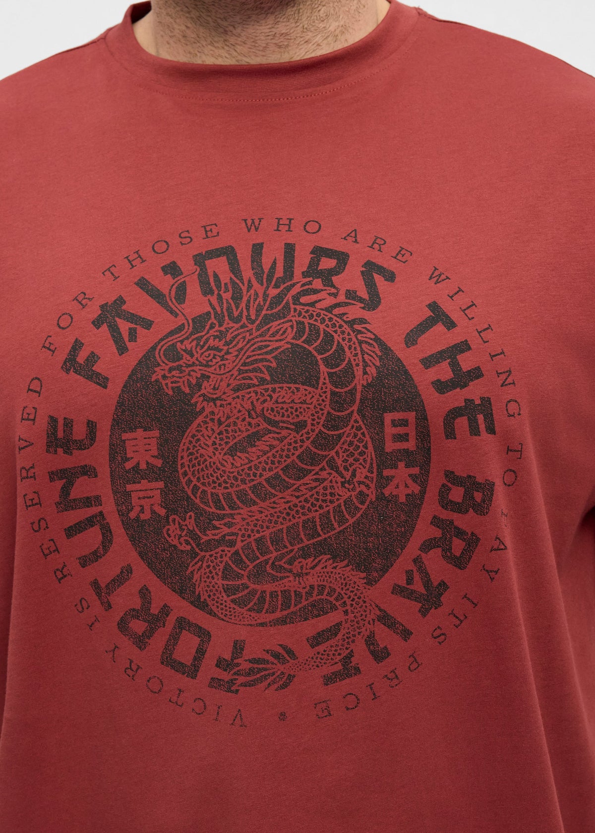 Dragon Stuttermabolur