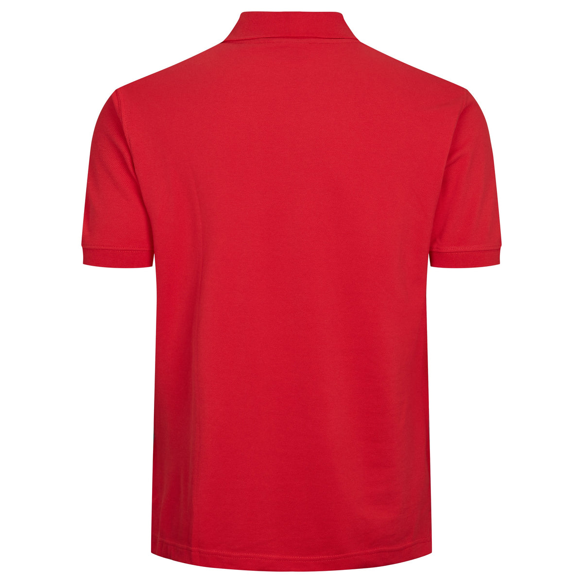 North Basic Polobolur