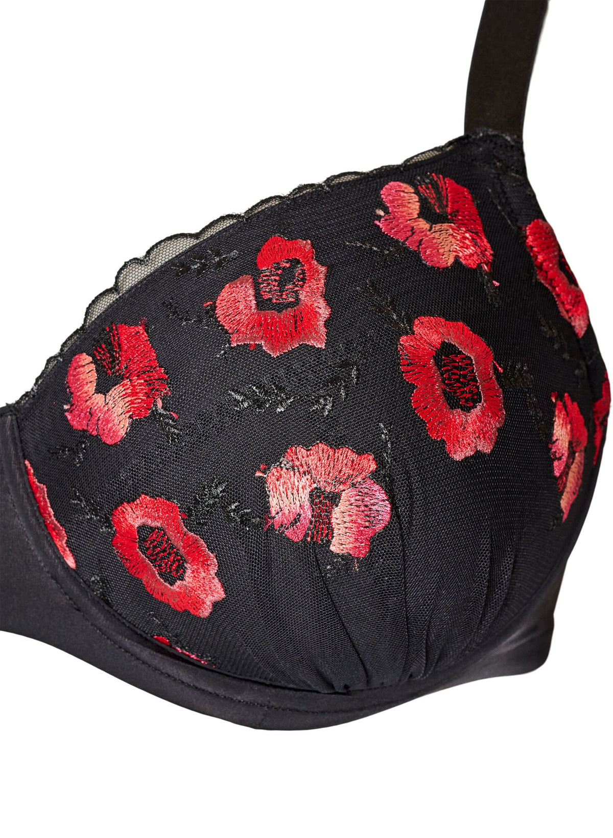 Isandra Padded Bra