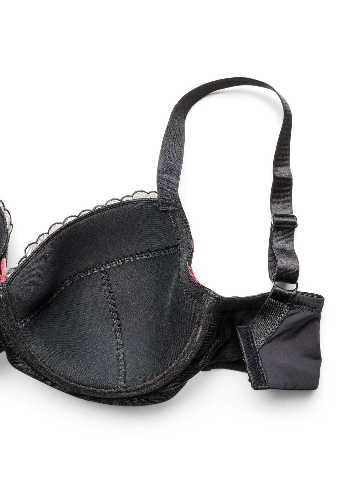 Isandra Padded Bra