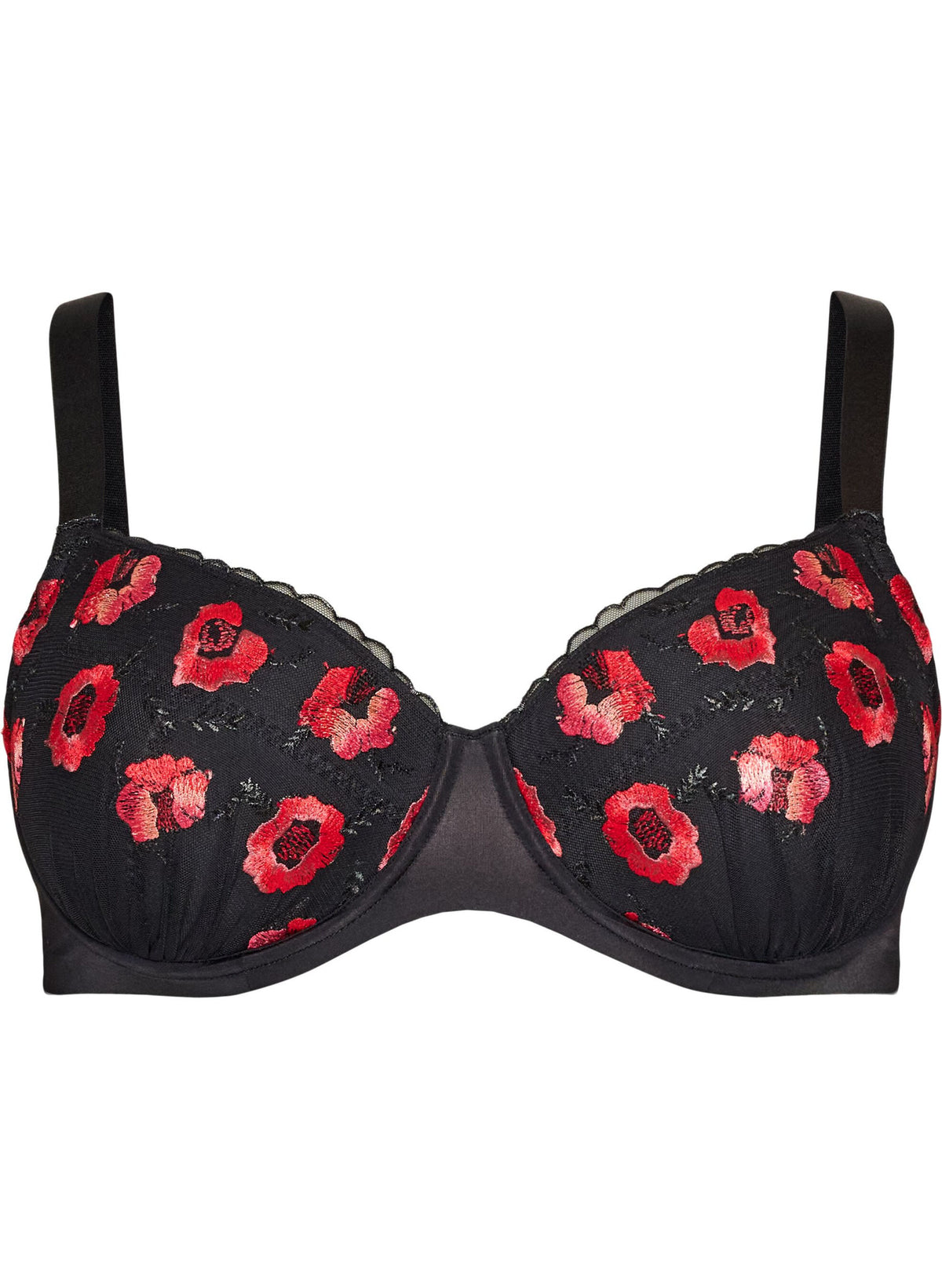 Isandra Padded Bra