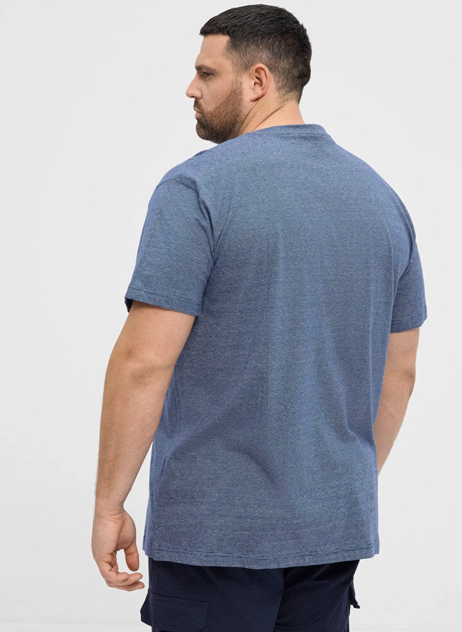 Seek The North Bolur